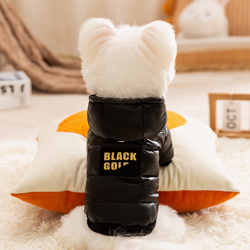 Cat jacket with leash for walking