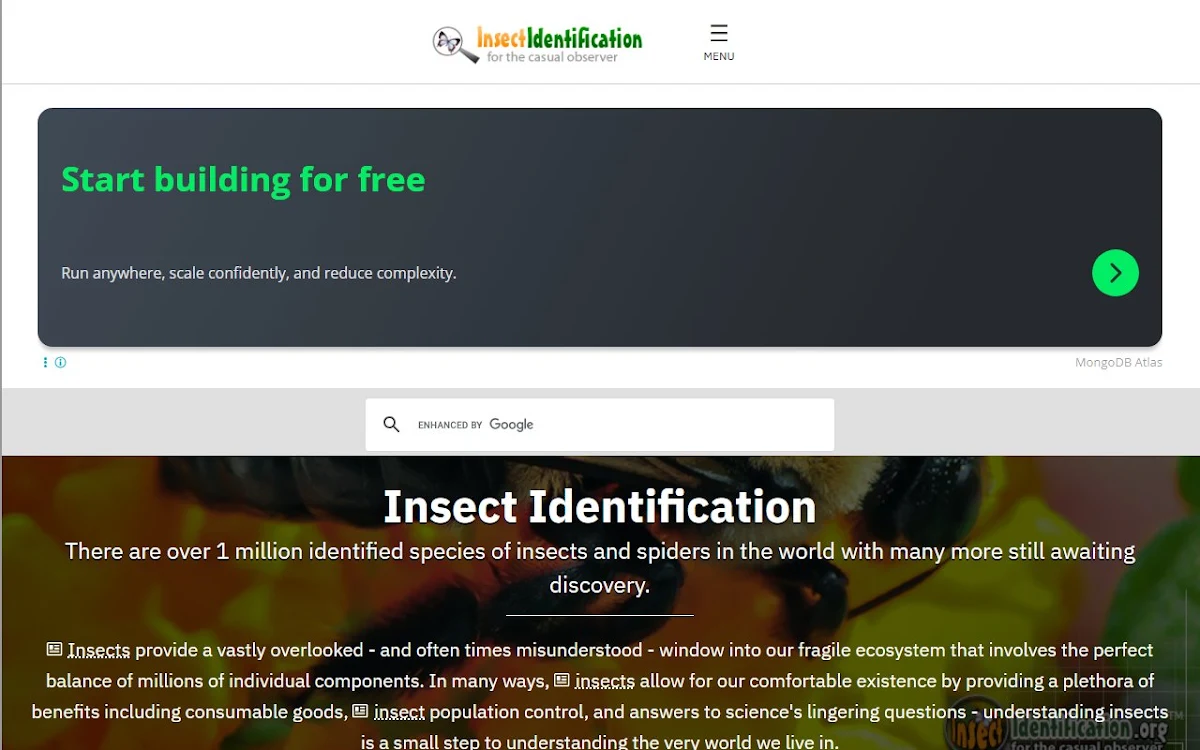 Captura de Bug Identifier : Insect ID