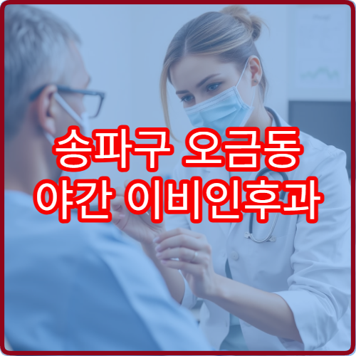 송파구 오금동 야간 이비인후과 진료 병원 야간 진료 시간 정리