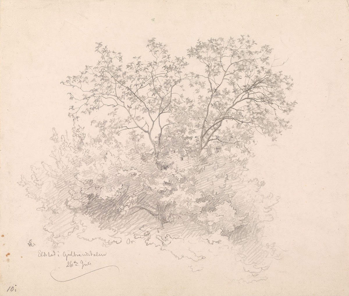 Løvtrær Elstad i Gudbrandsdalen 1846