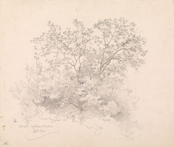Løvtrær Elstad i Gudbrandsdalen 1846