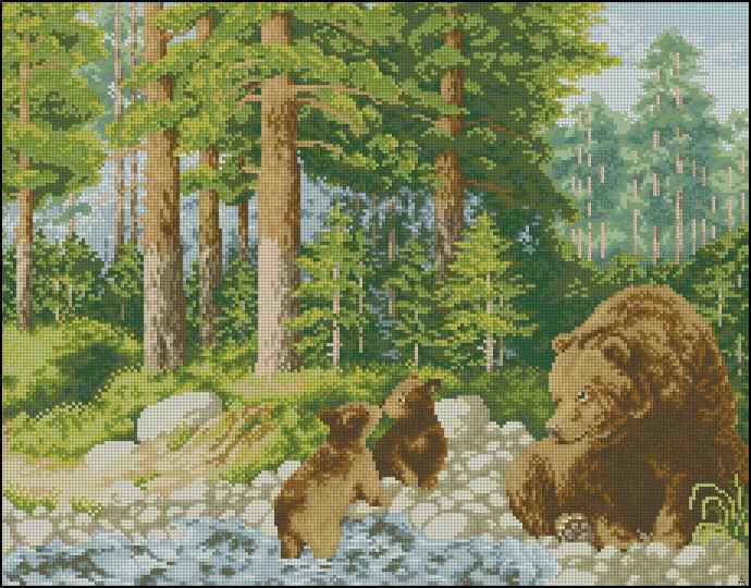 CMP 400517 Bears