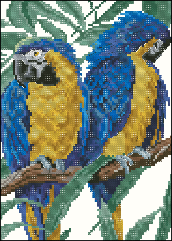 CMP K5196 Parrots