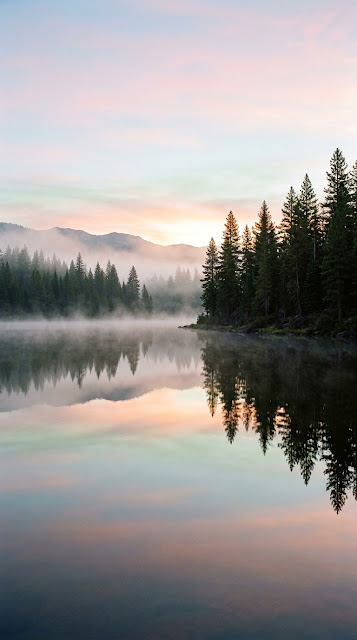 Tranquil Morning Mist on Lake with Evergreen Tree Reflections - Free mobile Wallpaper