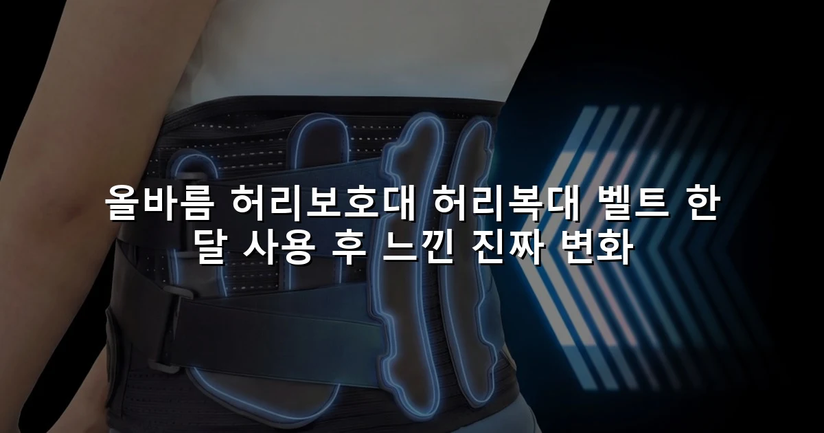 올바름 허리보호대 허리복대 벨트 한 달 사용 후 느낀 진짜 변화