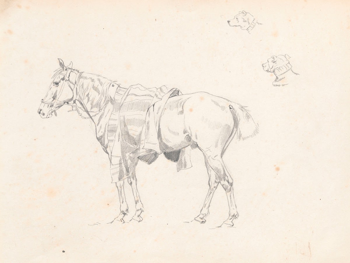 Horse covered with saddlecloth from the side and sketches of dogs head 1881