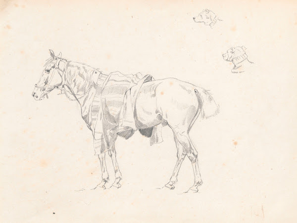 Horse covered with saddlecloth from the side and sketches of dogs head 1881