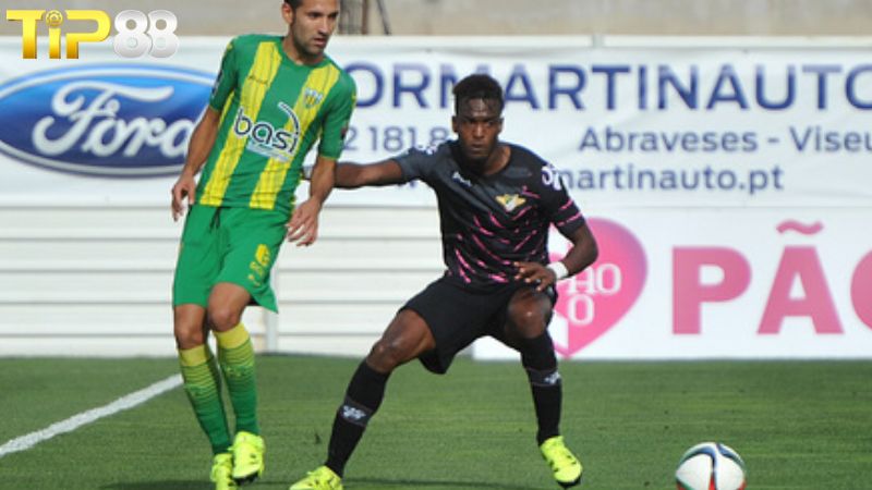 Lịch sử đối đầu giữa Moreirense vs CD Tondela