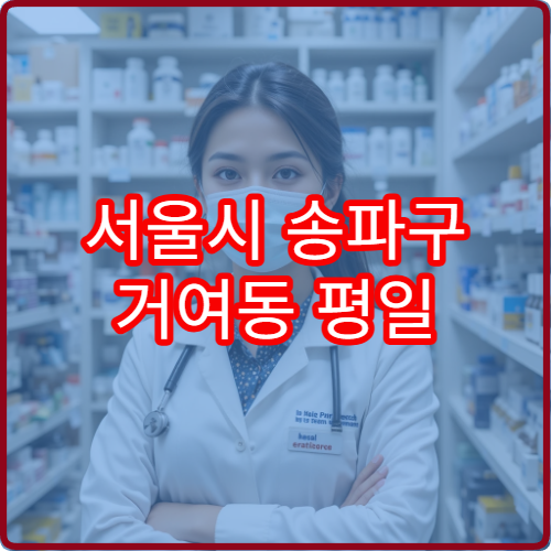 서울시 송파구 거여동 평일 야간 약국 늦은 밤 이용 가능한 약국 정보