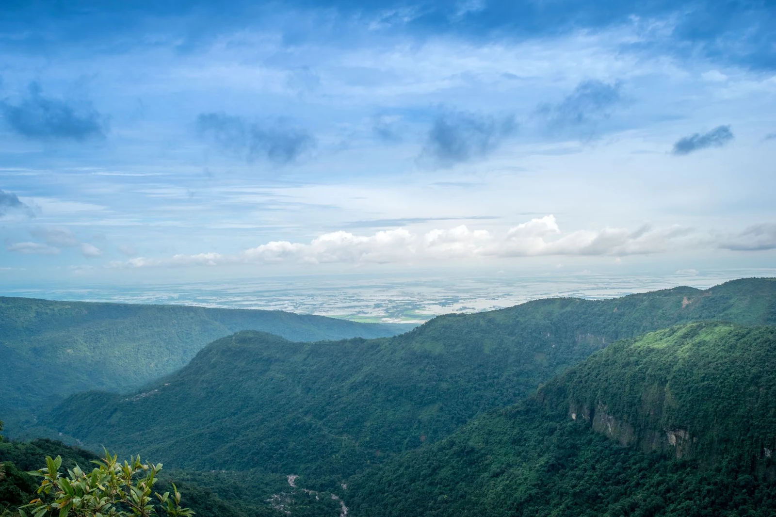 Nongkhrem Forest – A Green Labyrinth of Biodiversity