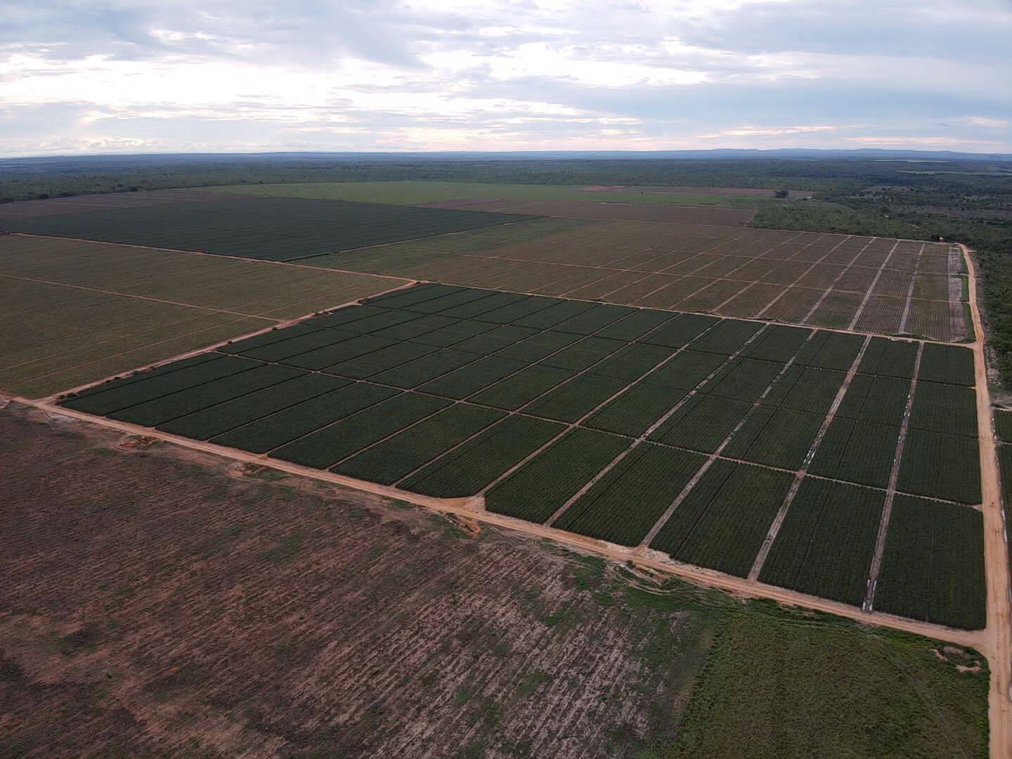 Fazenda em Miracema - TO 3
