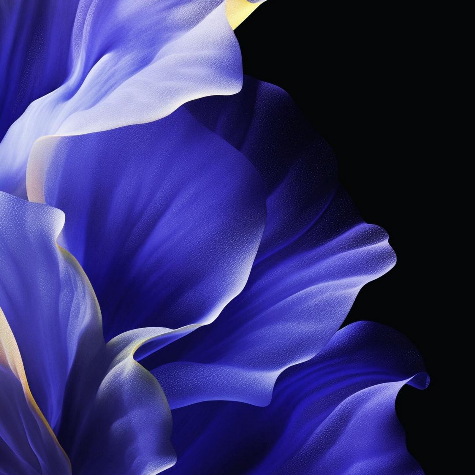 Download Abstract Blue Floral Petals Full HD iPhone