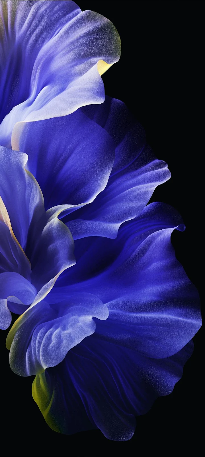 Abstract Blue Floral Petals - Abstract Digital Art Full HD iPhone Wallpaper (1080x2400)
