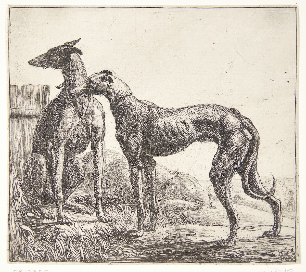 To mynder og en sovende hund