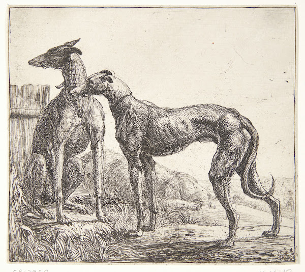 To mynder og en sovende hund