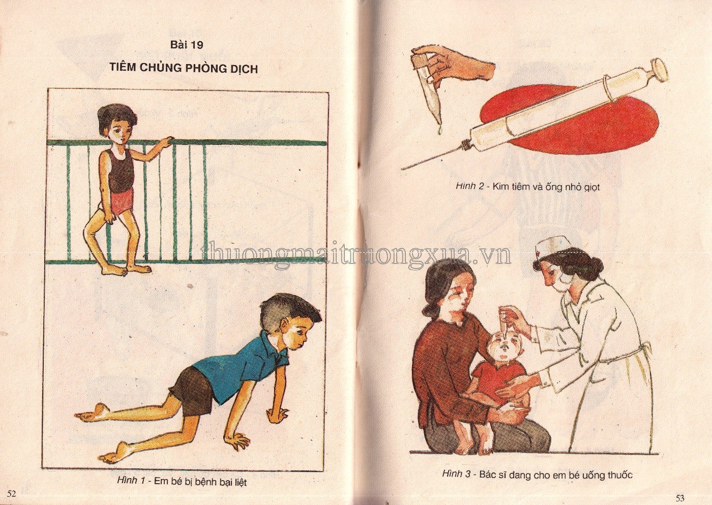 Sức khỏe 1 (1992) - Trang 29