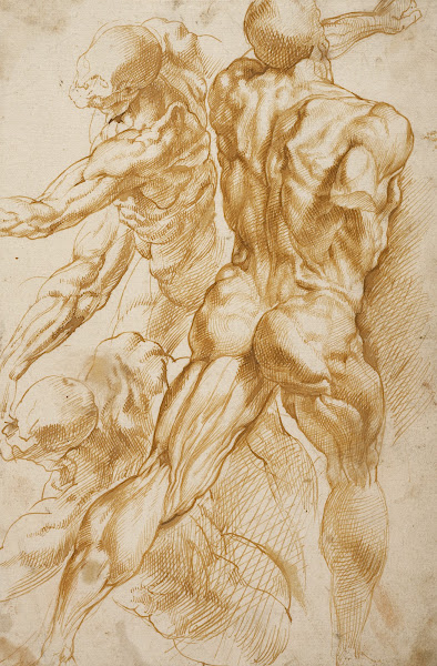 Anatomical Studies 16001605