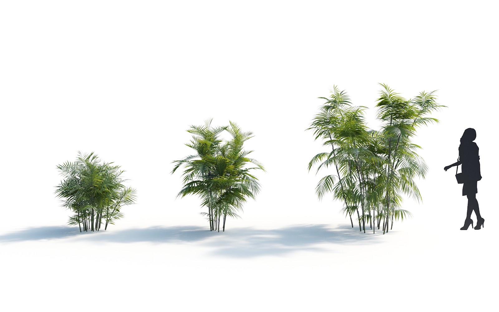 Maxtree - Plant Models Vol.7