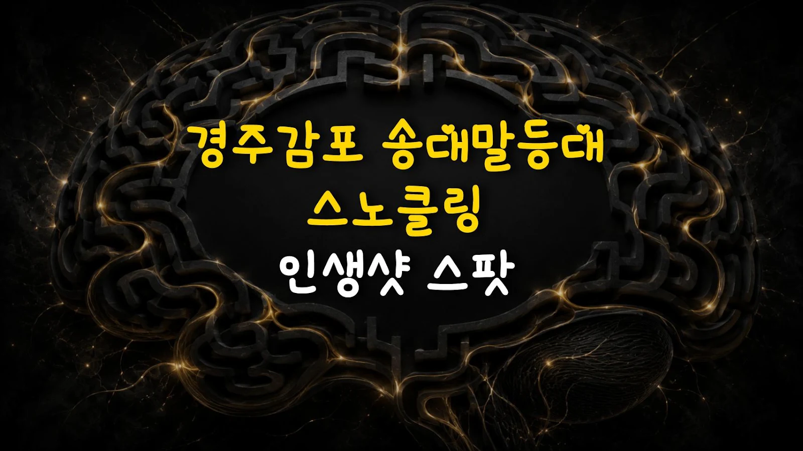 경주감포 송대말등대 스노클링 인생샷 스팟