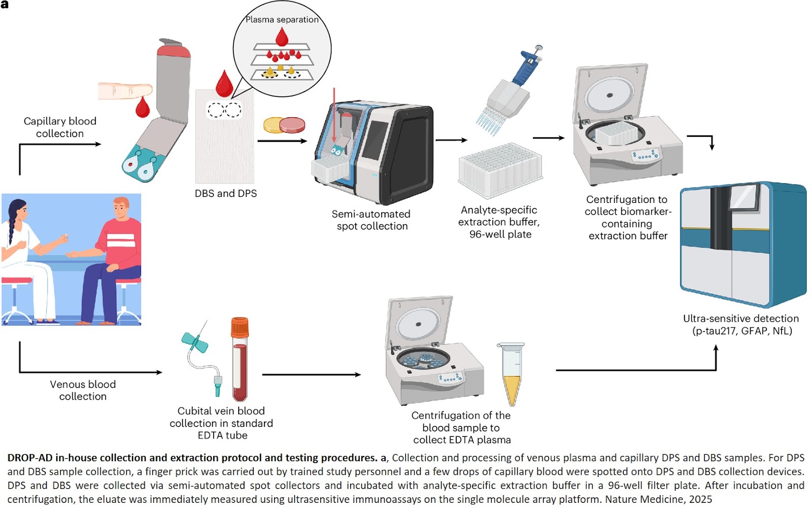 A minimally invasive dried blood spot biomarker test for the detection of Alzheimer’s disease pathology