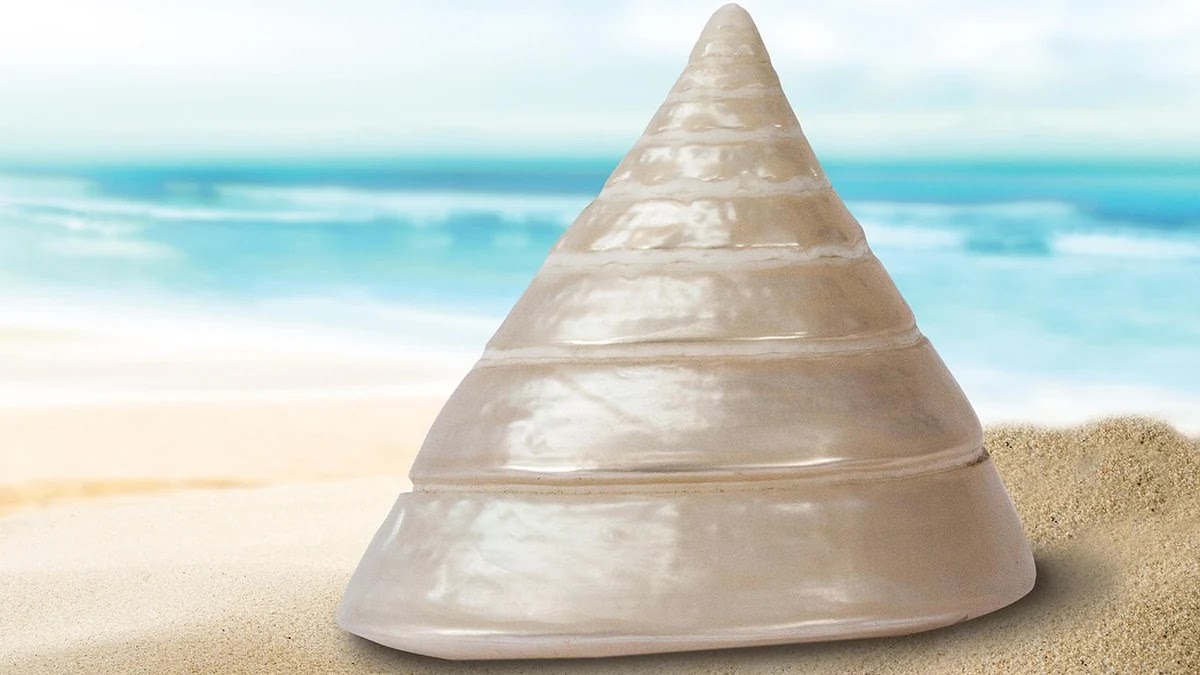 스마트워치 센서 종류와 기능별 활용도 비교