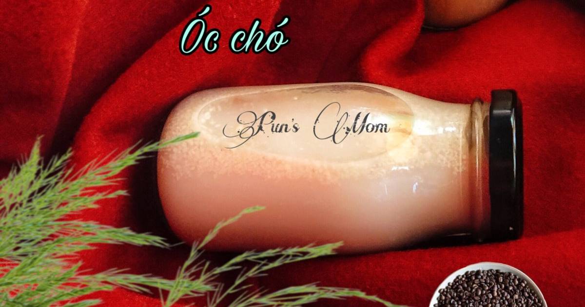 Sữa quinoa đậu lăng đỏ óc chó