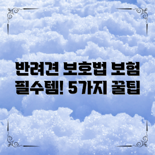 강아지보험추천, 반려견 건강, 애견보험 필수, 반려동물 보호, 봄철 관리 팁