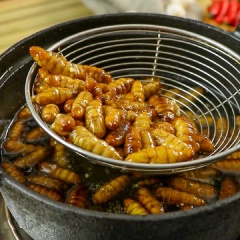 Cho 300gr nhộng tằm tẩm qua bột chiên giòn lớp mỏng, bắc chảo chiên giòn.