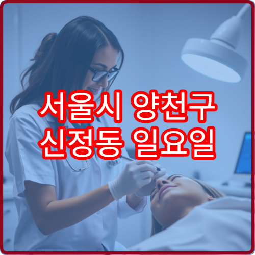 서울시 양천구 신정동 일요일 진료 가능한 치과 주말 응급 치아 통증 대응
