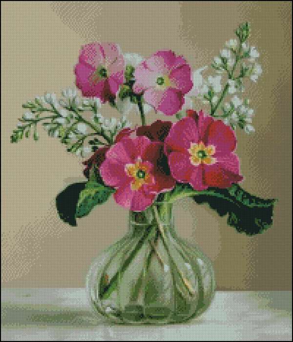 CMP 171527 Primula