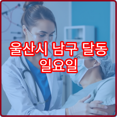 울산시 남구 달동 일요일 내과 진료 가능한 병원 휴일 진료 정보 안내