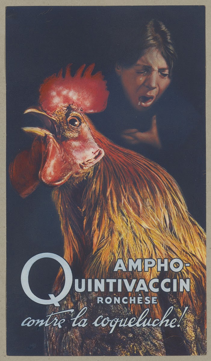Ampho Quintivaccin Ronchèse 1910 1950
