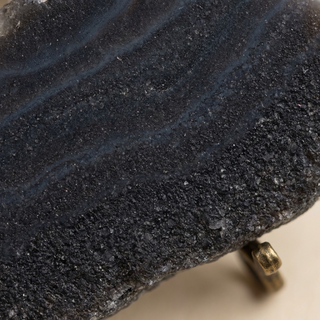 Full frame macro of black chalcedony showing subtle banding and granular texture with minimal props black onyx roman soldier ring