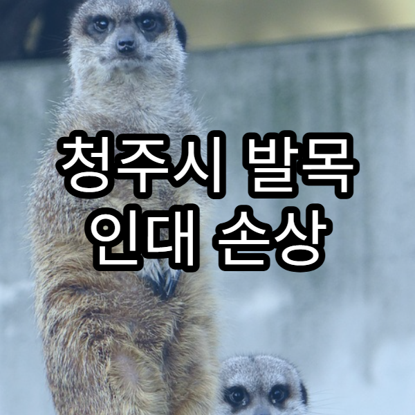 청주시 발목 인대 손상 치료 병원 재활 치료