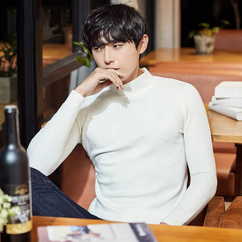 Men's turtleneck sweater, lined, warm