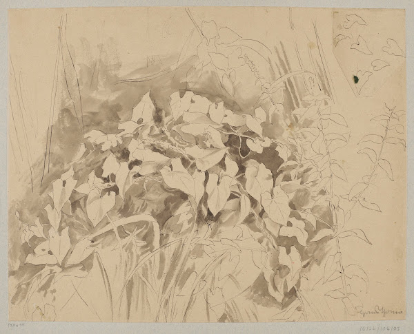 Study of vegetation 1870