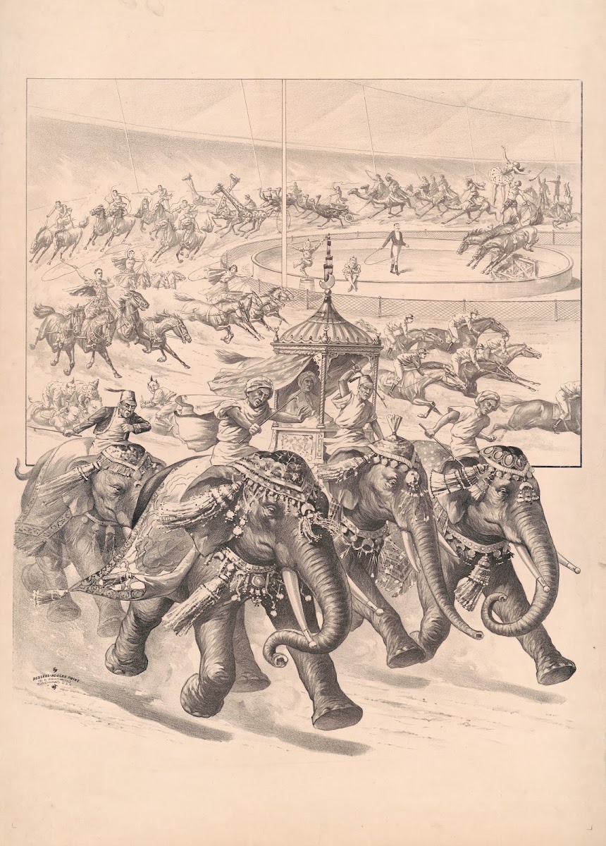 Elephants horses giraffes  camels with riders 1898
