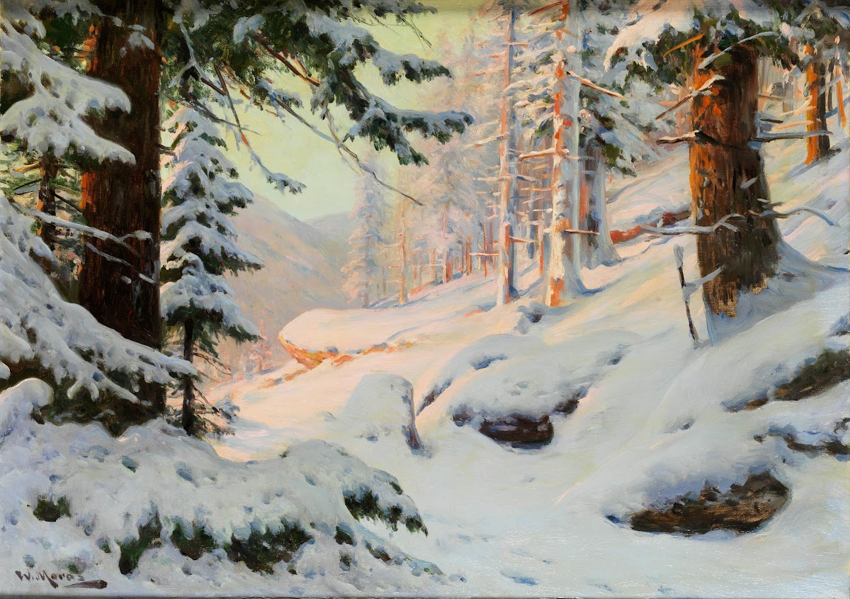 Winter sun