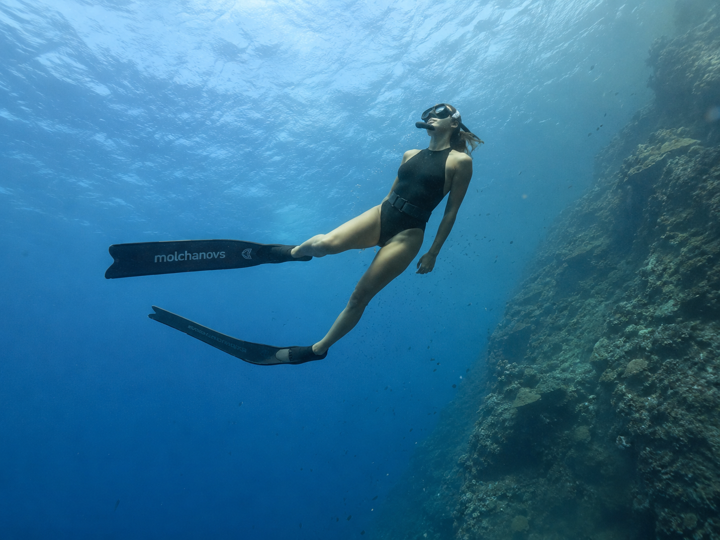 freedive trip gili