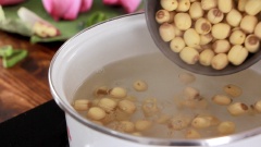 Nấu 1,2l nước và cho 300gr hạt sen vào nấu cho hạt sen chín khoảng 25-30 phút rồi mới cho đường phèn vào, cho đường vào sớm sẽ làm cho hạt sen bị sượng.