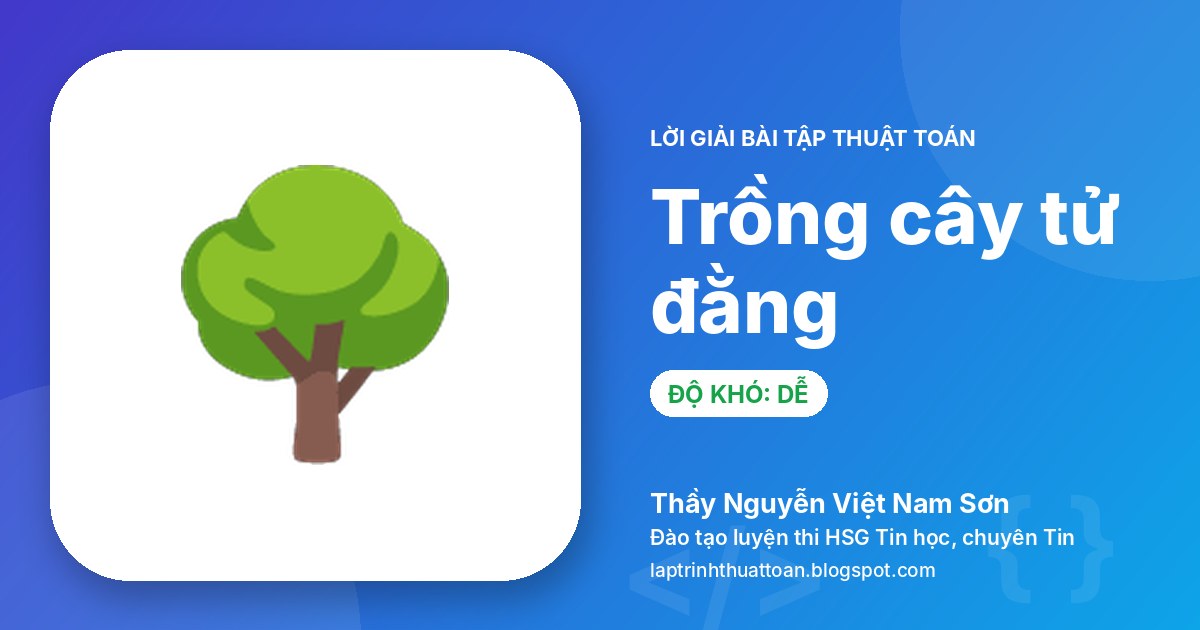 Trồng cây tử đằng