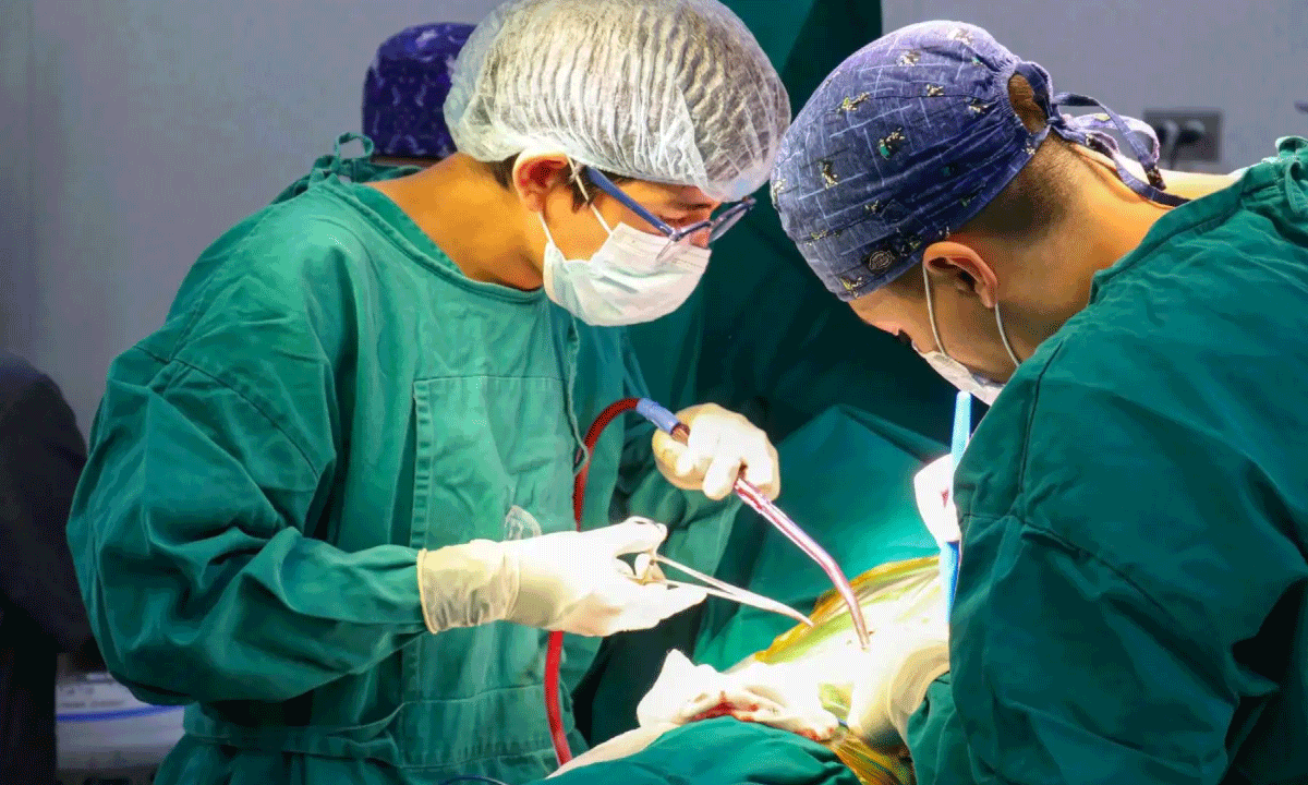 Aumentar la detección con tomografía baja dosis podría triplicar las vidas salvadas por cáncer de pulmón