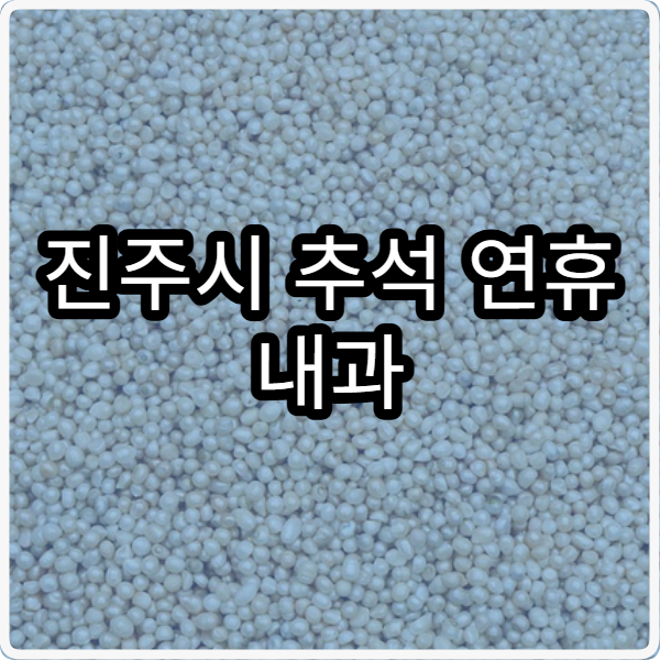 진주시 추석 연휴 내과 진료 병원 어디서 확인할까