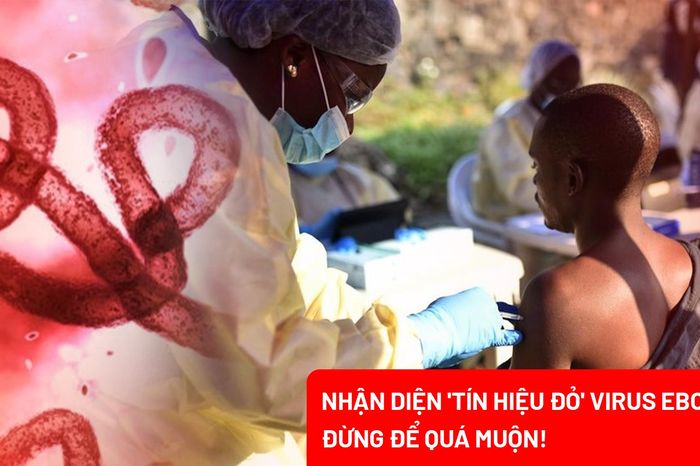 Dịch Ebola diễn biến phức tạp: Những lưu ý không thể bỏ qua - Báo Pháp Luật TP.HCM