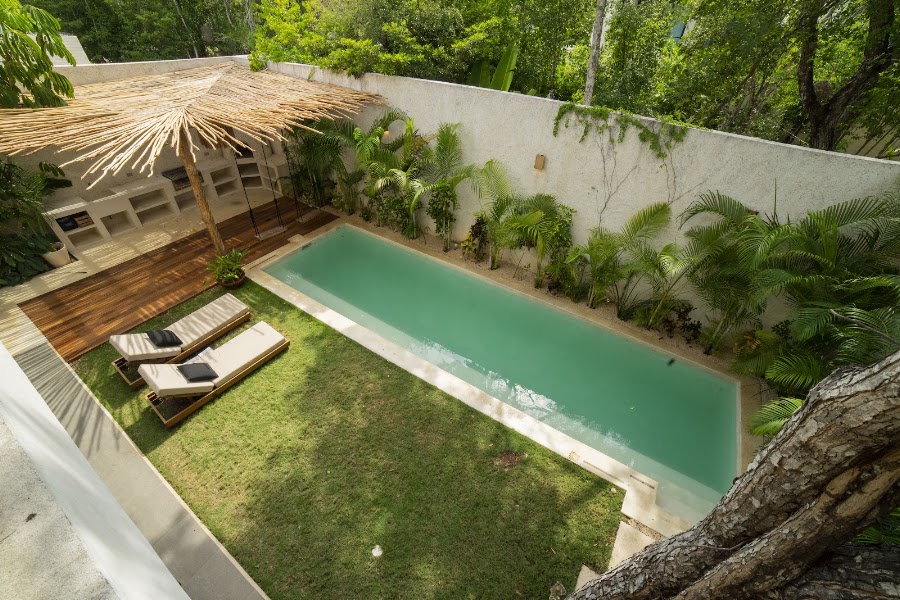 Private pool framed by jungle