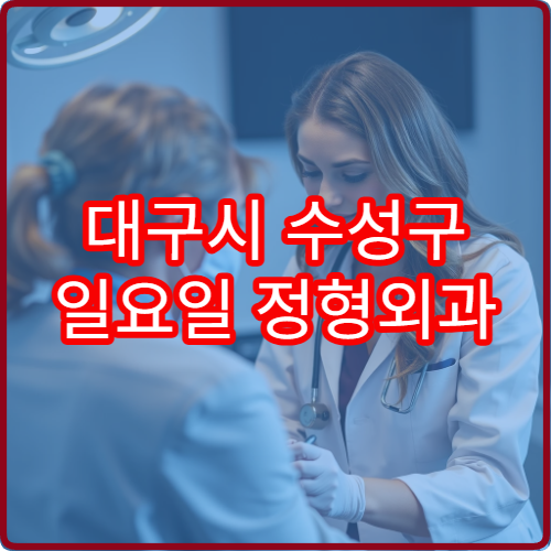 대구시 수성구 일요일 정형외과 진료 가능한 병원 비교 자료