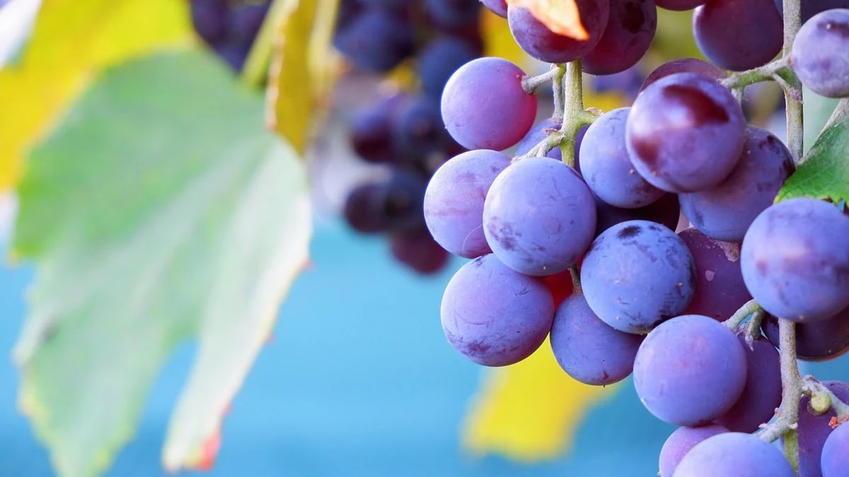 금리 인상이 대출 시장에 미치는 구조적 영향 분석