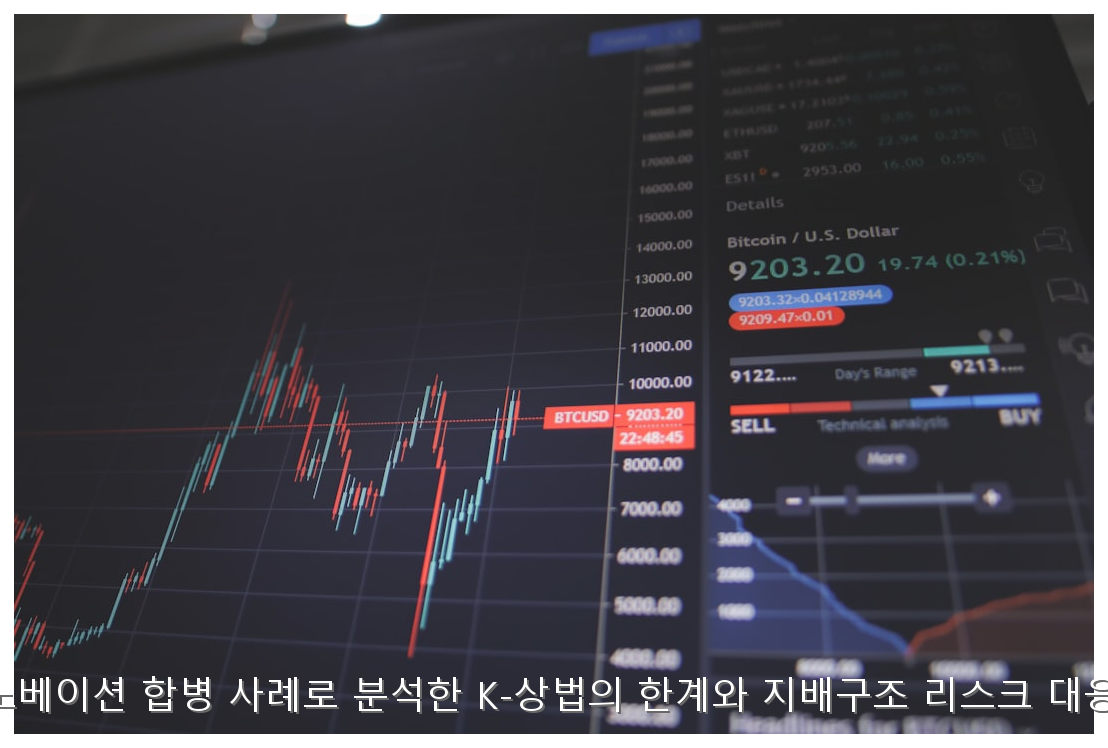 SK이노베이션 합병과 K-상법 리스크 핵심 안내 및 분석 인포그래픽 (3)
