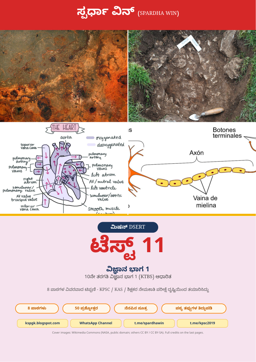 Mission DSERT Test 11 - ಮಿಷನ್ DSERT ಟೆಸ್ಟ್ 11 | 10th Std Science Part 1 Kannada Study Magazine PDF