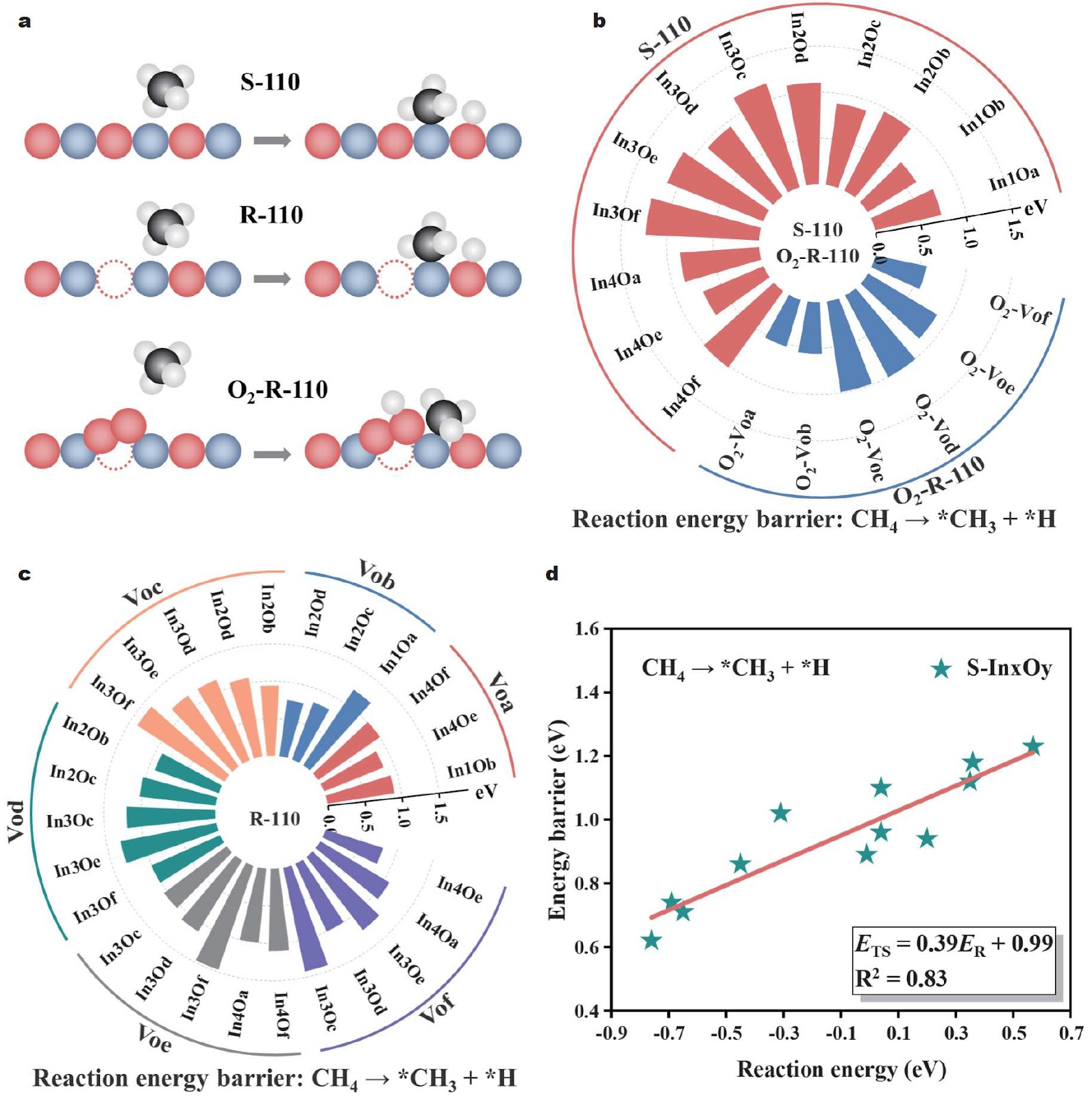 Unveiling the Dynamic Structure Evolution of In2O3(110) in the Direct Oxidation of Methane to Methanol